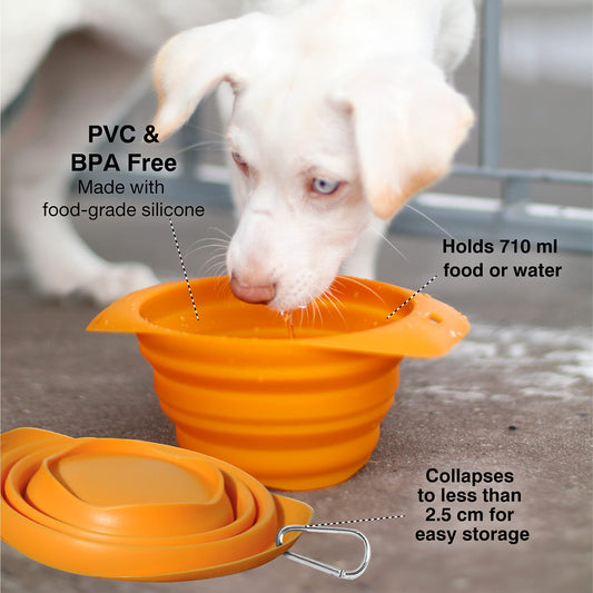 Kurgo Collaps-a-Bowl Portable Dog Travel Bowl with Carabiner