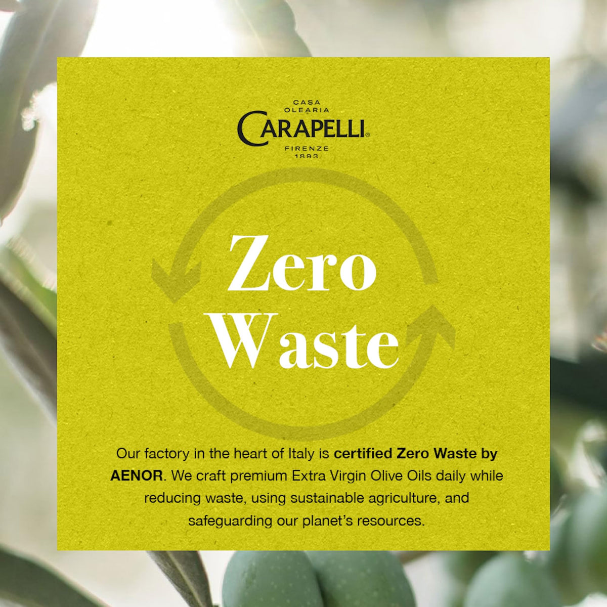 Carapelli Organic Extra Virgin Olive Oil 500ml - (Pack of 6) - BB 08/2026