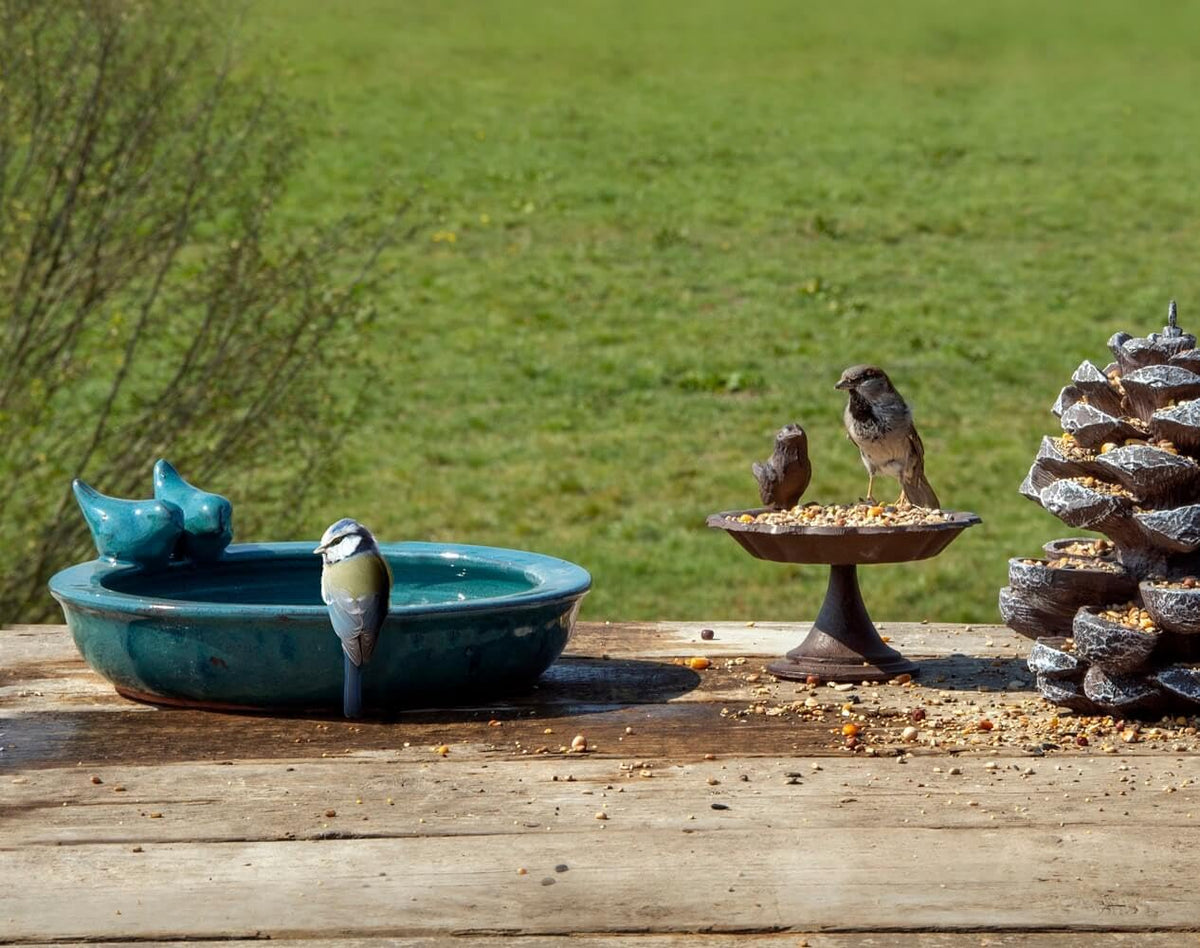 Fallen Fruits Round Ceramic Bird Bath Petrol Blue
