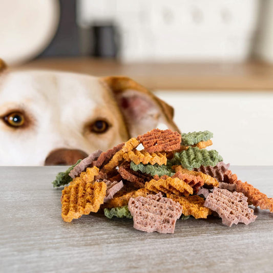 Elkwood Dental Sponge Chews for Dogs 100g | Natural Grain Free