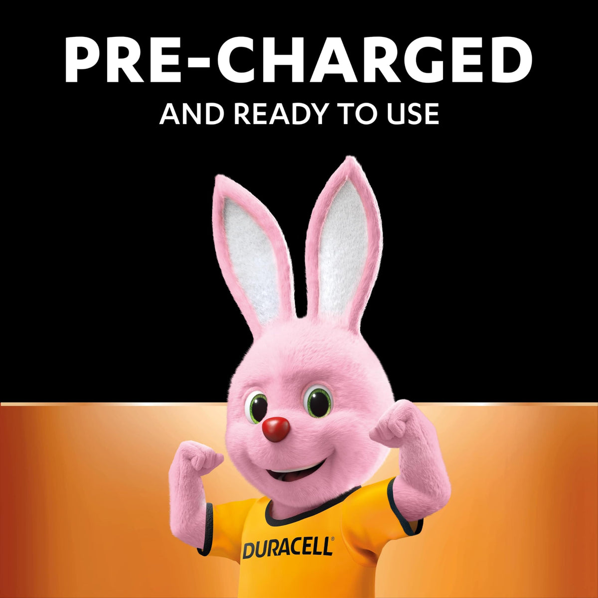 DURACELL AA Rechargeable Batteries 8 Pack 1.2V, 1300 mAh NiMH