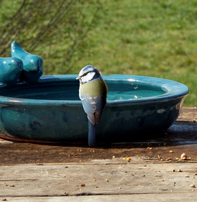 Fallen Fruits Round Ceramic Bird Bath Petrol Blue