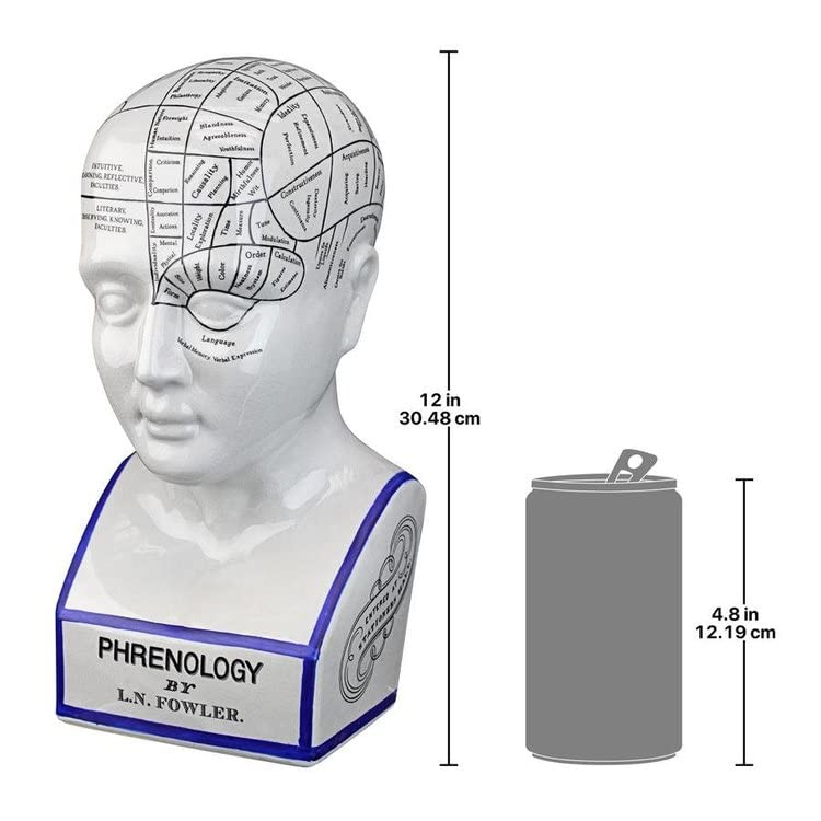 Design Toscano Porcelain Phrenology Head Fortune Telling Statue 30.5cm in White