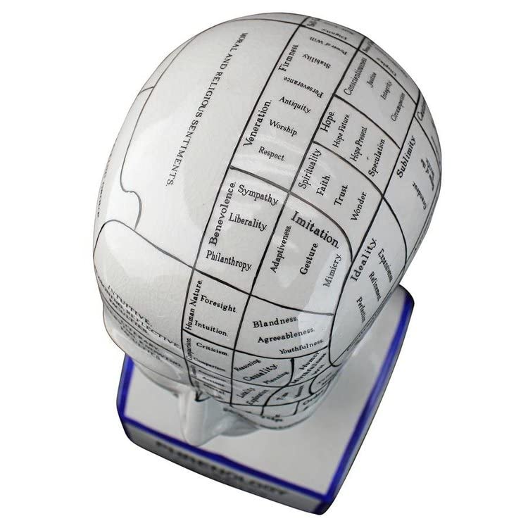 Design Toscano Porcelain Phrenology Head Fortune Telling Statue 30.5cm in White
