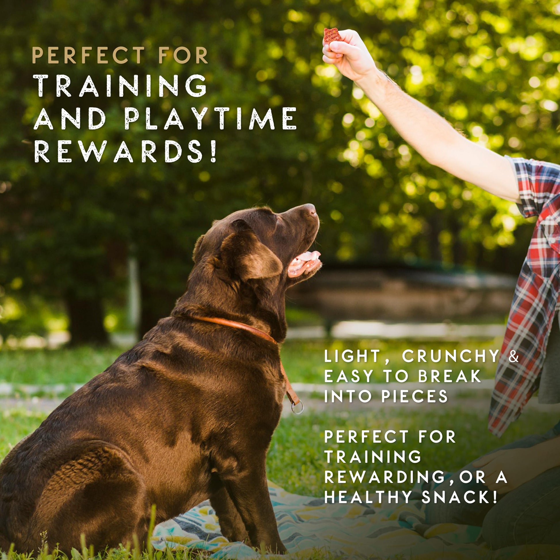 Elkwood Dental Sponge Chews for Dogs 100g | Natural Grain Free