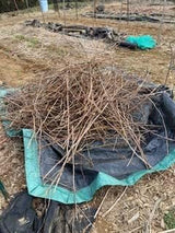 Rocky Mountain Goods 9' x 9' Drawstring Tarp - Extra Strength Yard Bag Furniture Cover