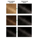Garnier Nutrisse Ultra Crème Permanent Hair Dye 1 Black