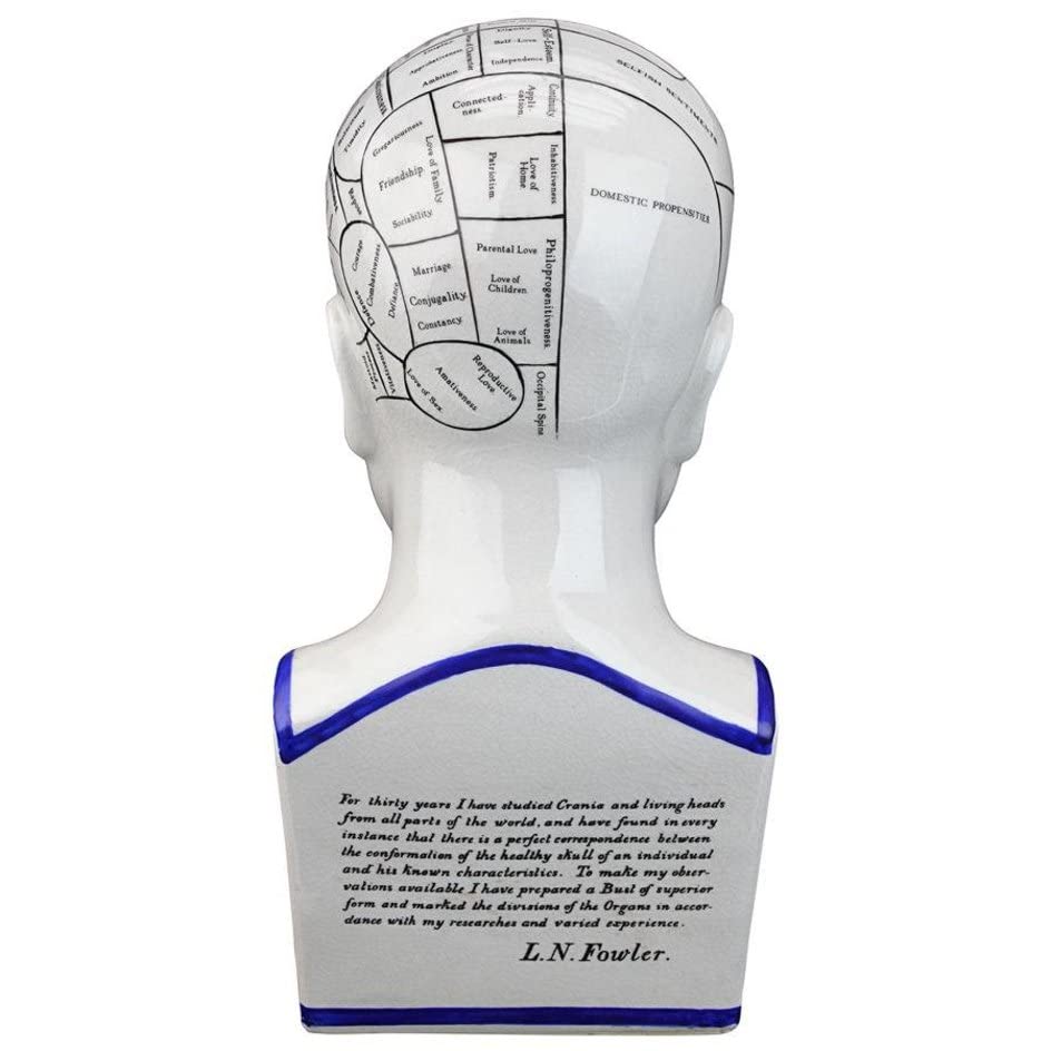 Design Toscano Porcelain Phrenology Head Fortune Telling Statue 30.5cm in White