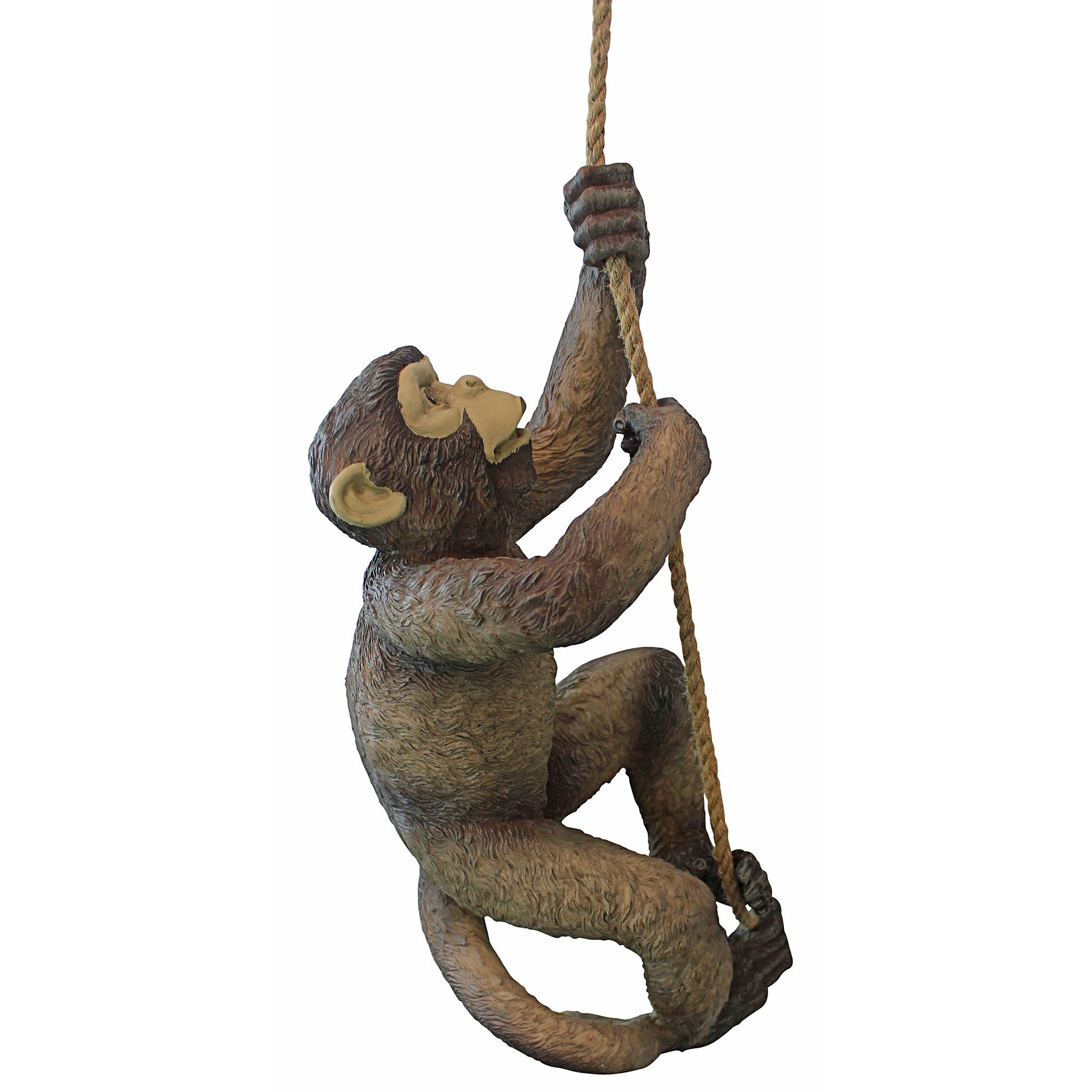 Design Toscano Makokou Climbing Monkey Sculpture - Exotic Resin Statue