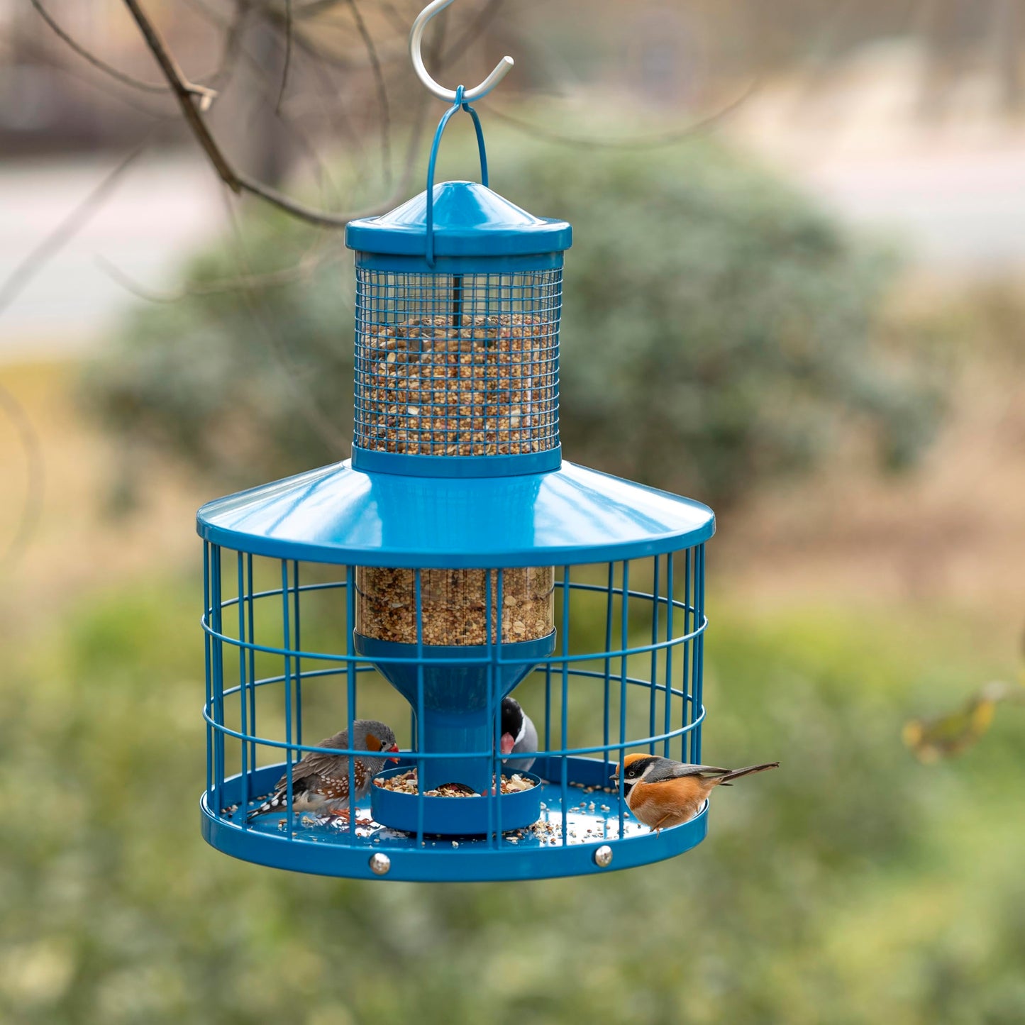 Squirrel-Proof Metal Bird Seed Feeder 1.3kg Capacity Blue Outdoor Hanging Wild-bird Tray
