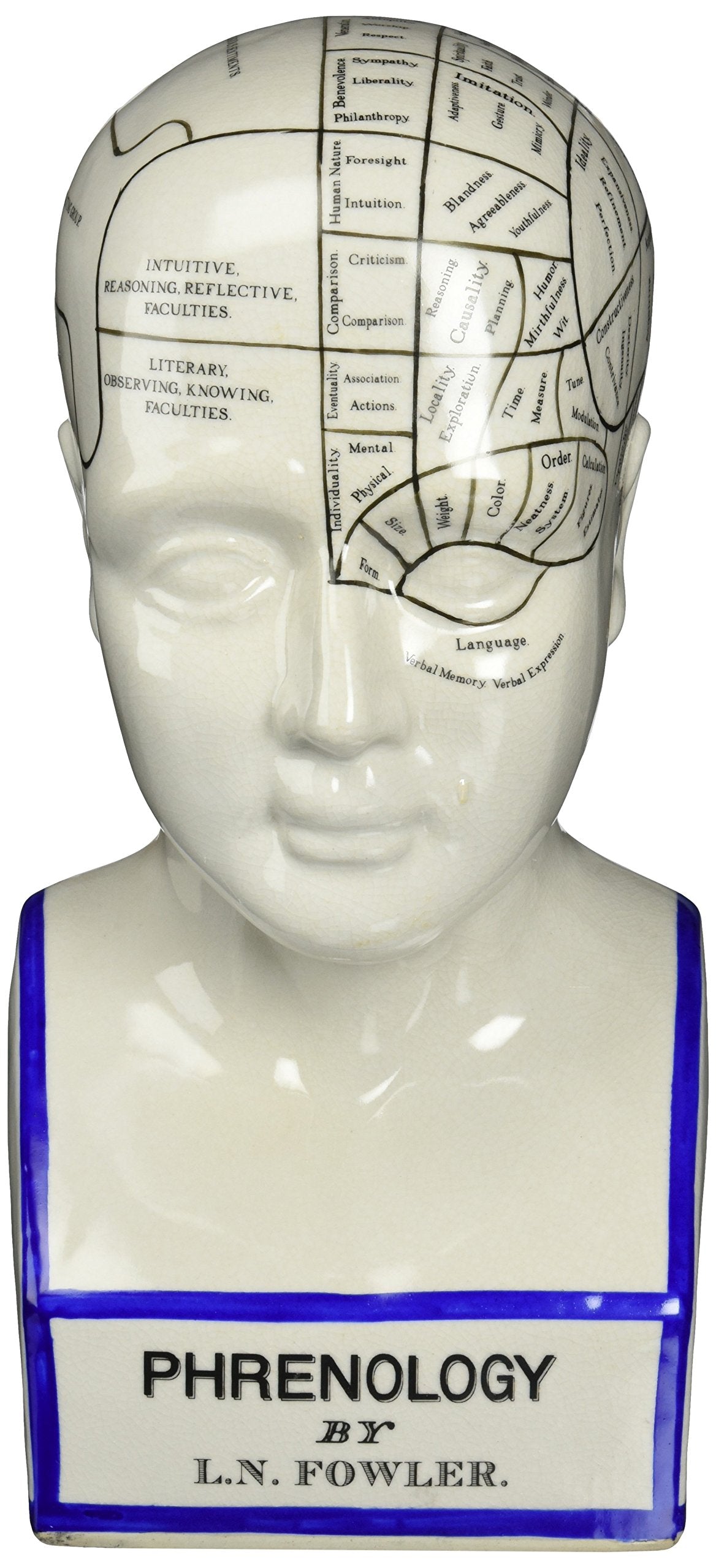 Design Toscano Porcelain Phrenology Head Fortune Telling Statue 30.5cm in White