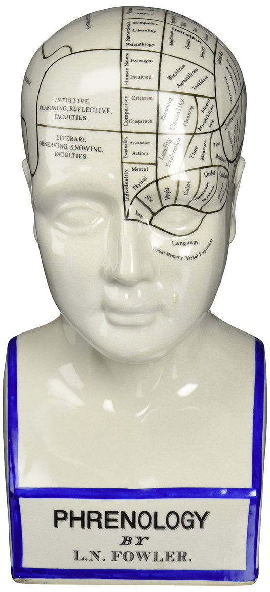 Design Toscano Porcelain Phrenology Head Fortune Telling Statue 30.5cm in White