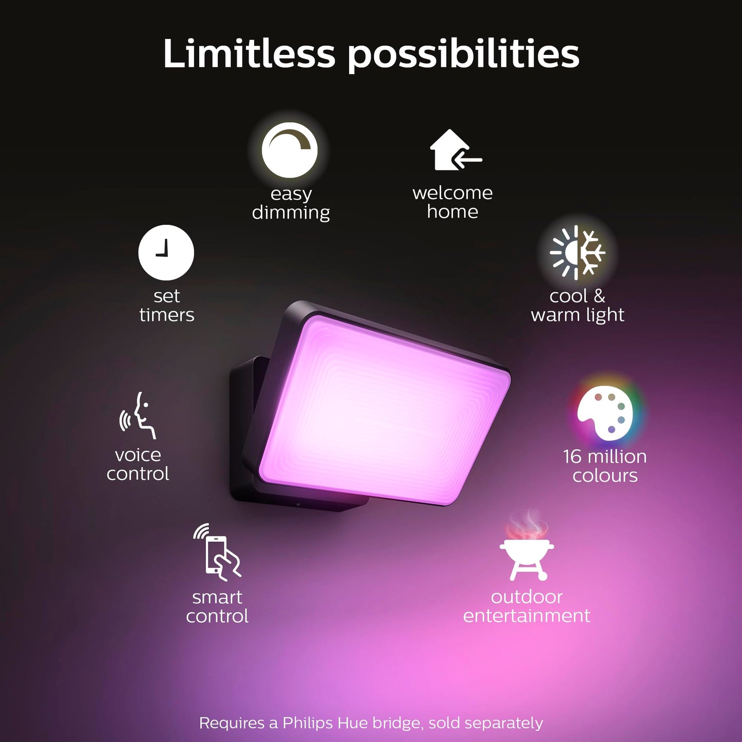 Philips Hue Outdoor Smart Floodlight - Color & White Light