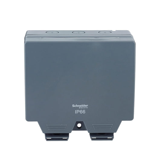 Schneider Electric Lisse Weatherproof IP66 2 Gang Switch 13A socket - LWP3020