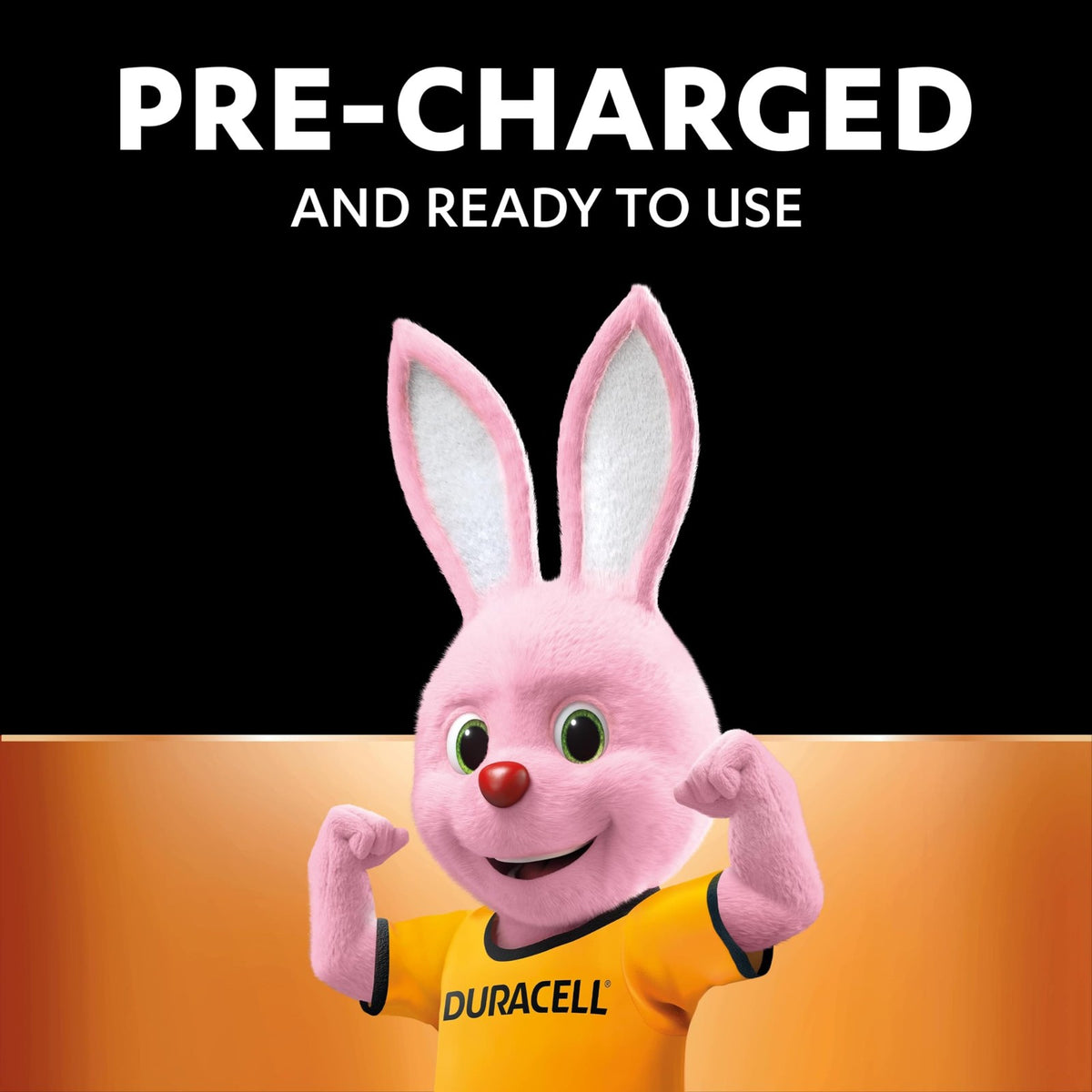 DURACELL AA Rechargeable Batteries 8 Pack 1.2V, 1300 mAh NiMH
