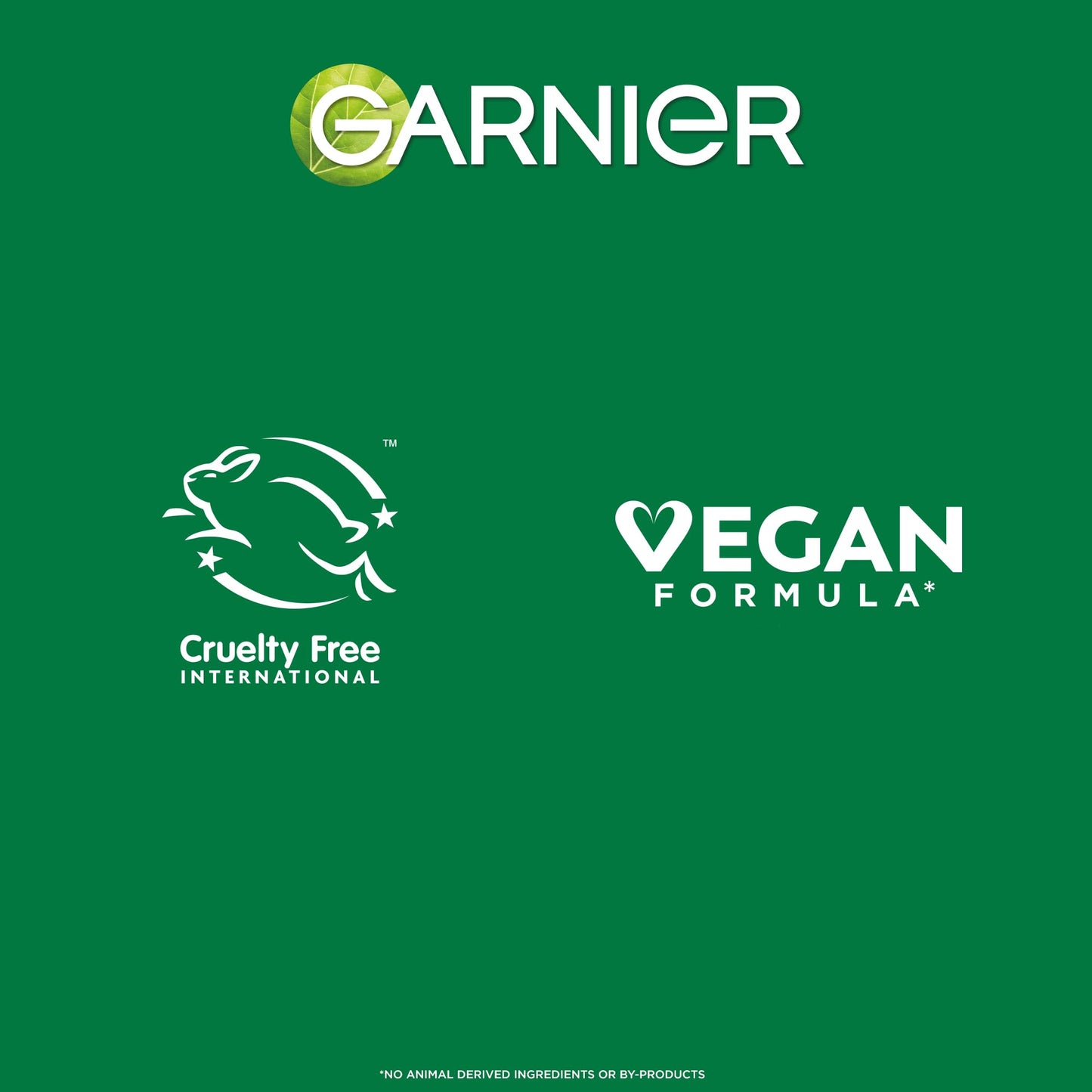 Garnier SkinActive 4% AHA BHA Niacinamide Charcoal Serum 30ml
