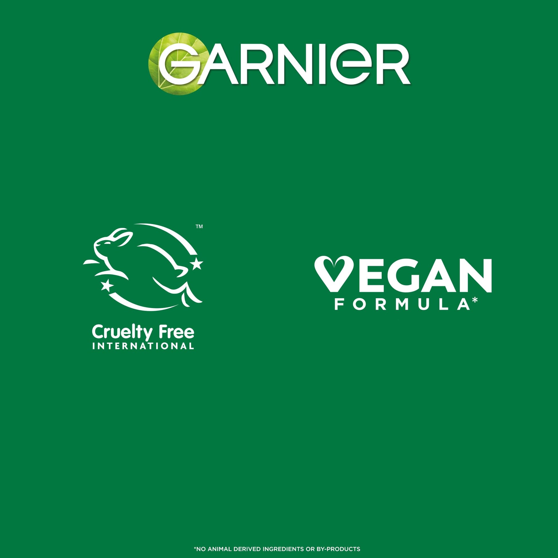 Garnier SkinActive 4% AHA BHA Niacinamide Charcoal Serum 30ml