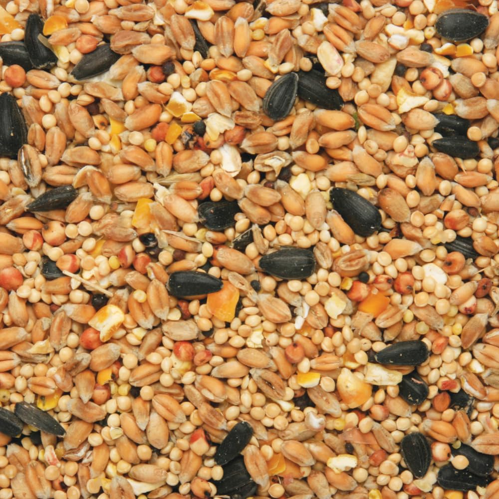 Copdock Mill Wild Bird Seed Mix 3.8kg Tub - Natural All Year Food