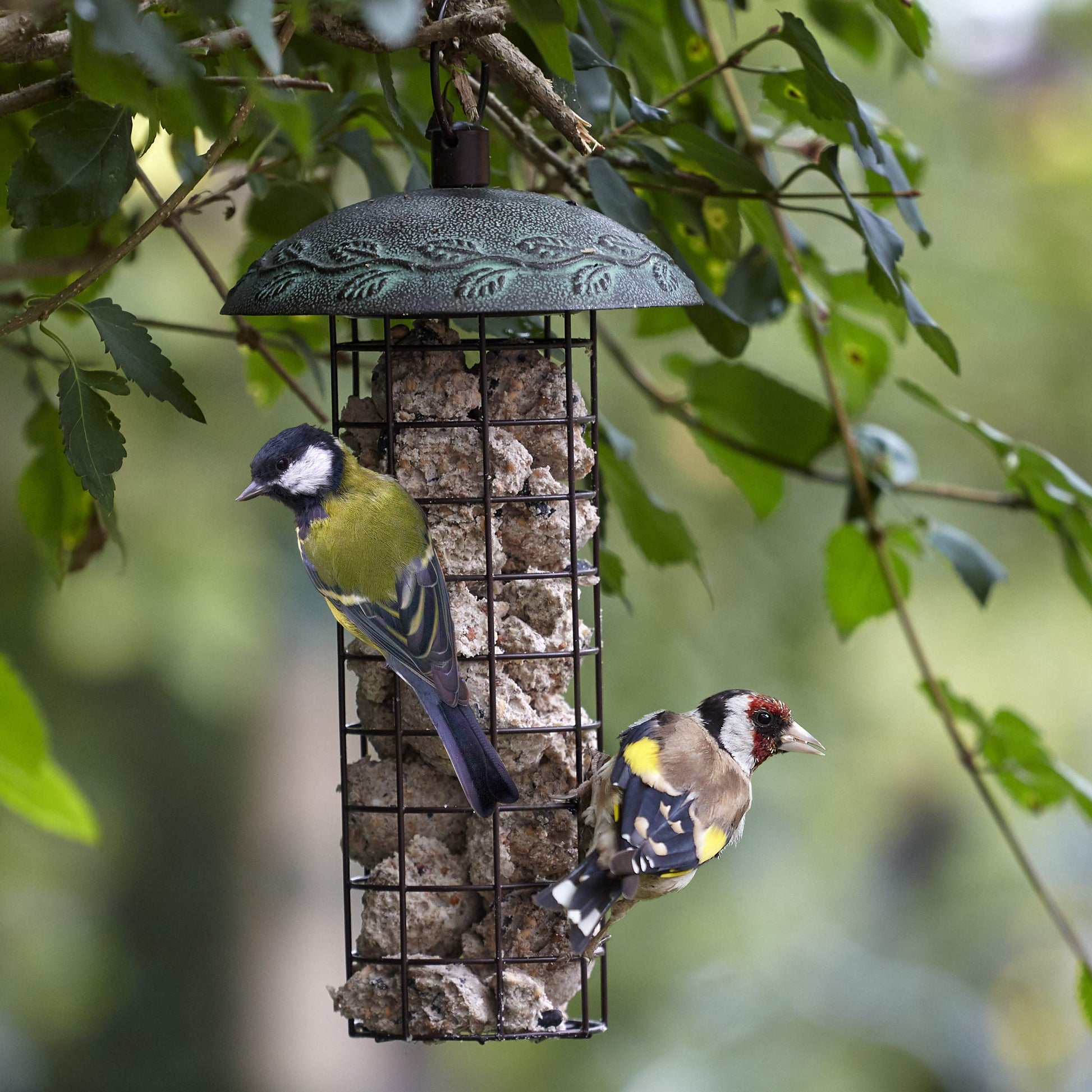 Peckish Secret Garden 25cm Metallic Energy Suet Fat Ball Bird Feeder