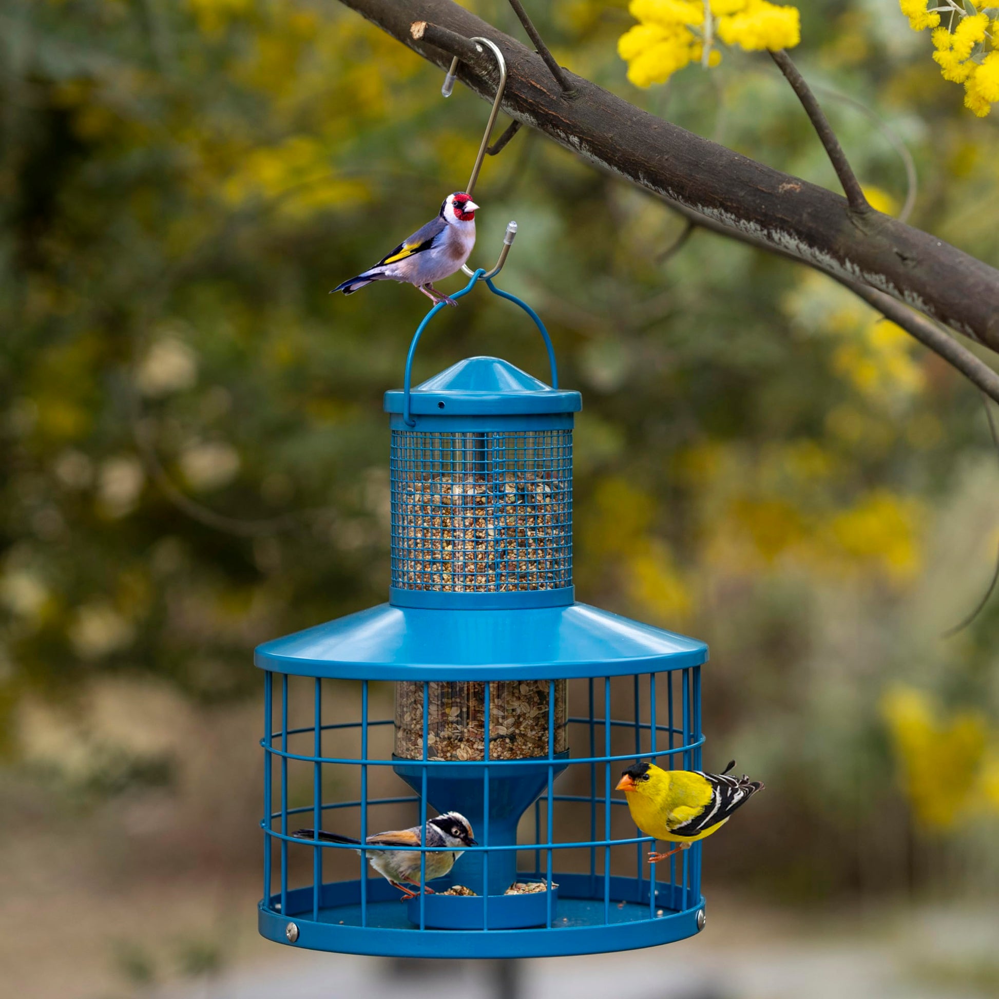 Squirrel-Proof Metal Bird Seed Feeder 1.3kg Capacity Blue Outdoor Hanging Wild-bird Tray