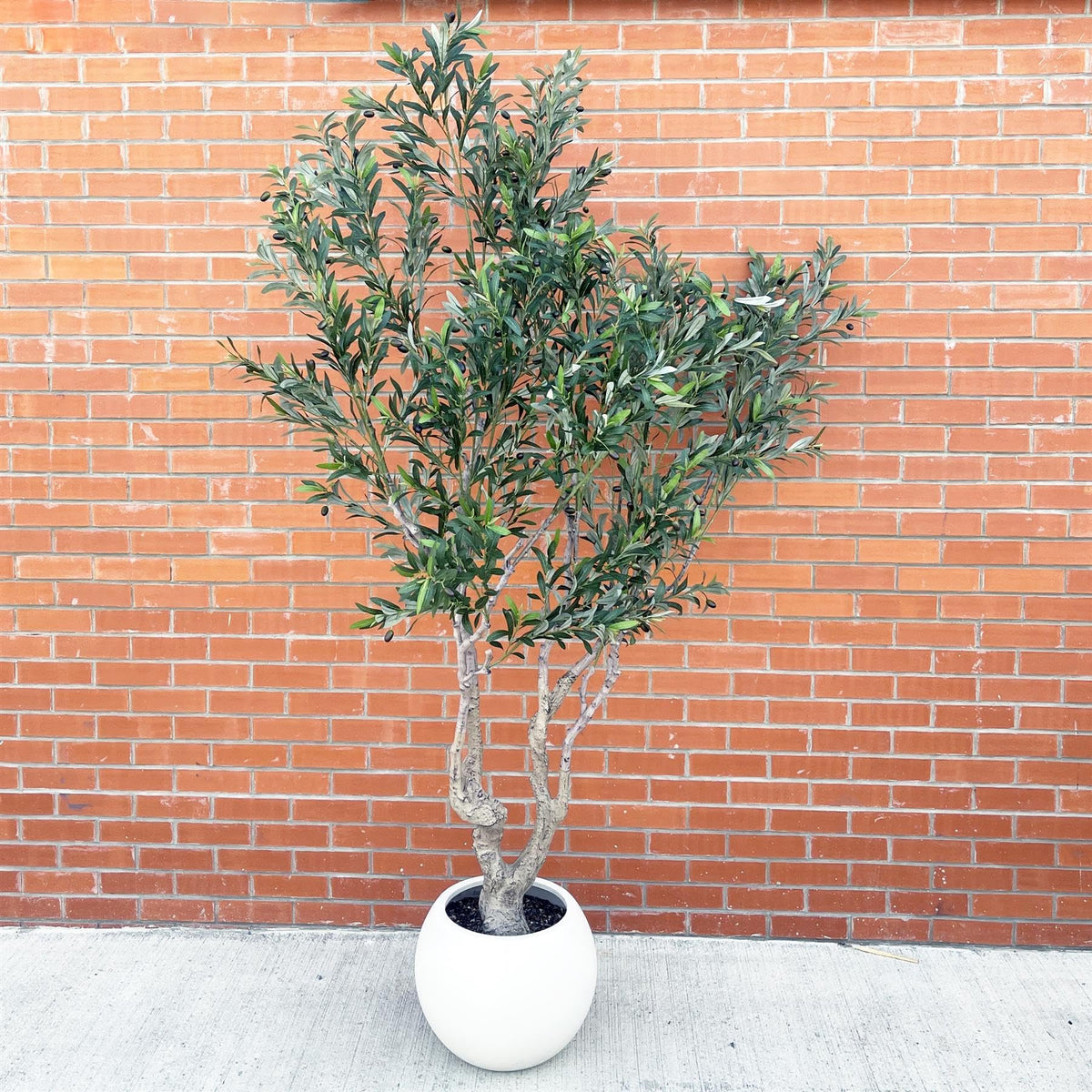 Leaf Design UK Artificial XL Olive Tree 250cm Realistic Faux Plant in White Planter