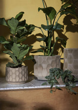Kähler Gro Designer Plant Pot with Saucer 16.5cm Burnt Stoneware