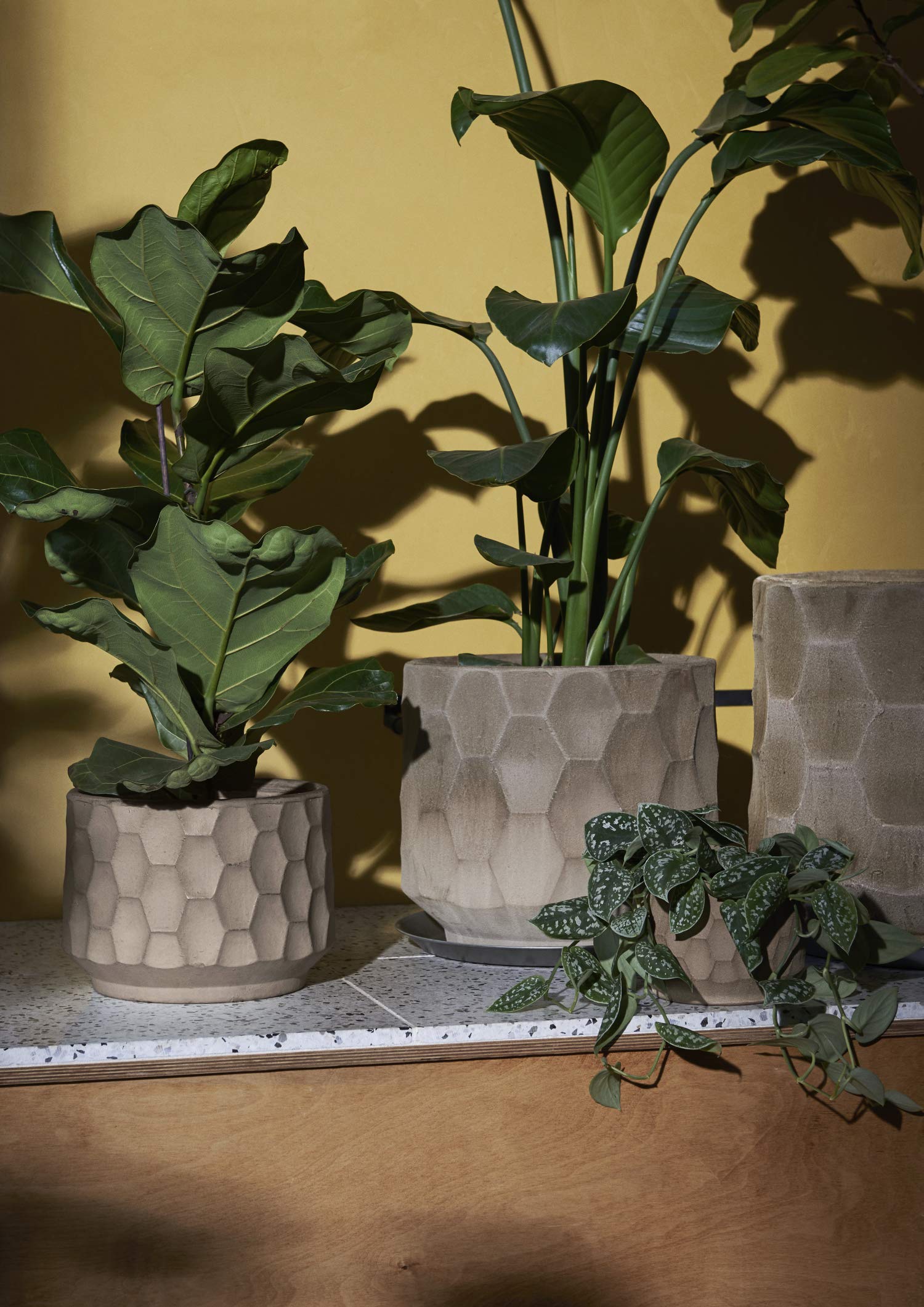 Kähler Gro Designer Plant Pot with Saucer 16.5cm Burnt Stoneware