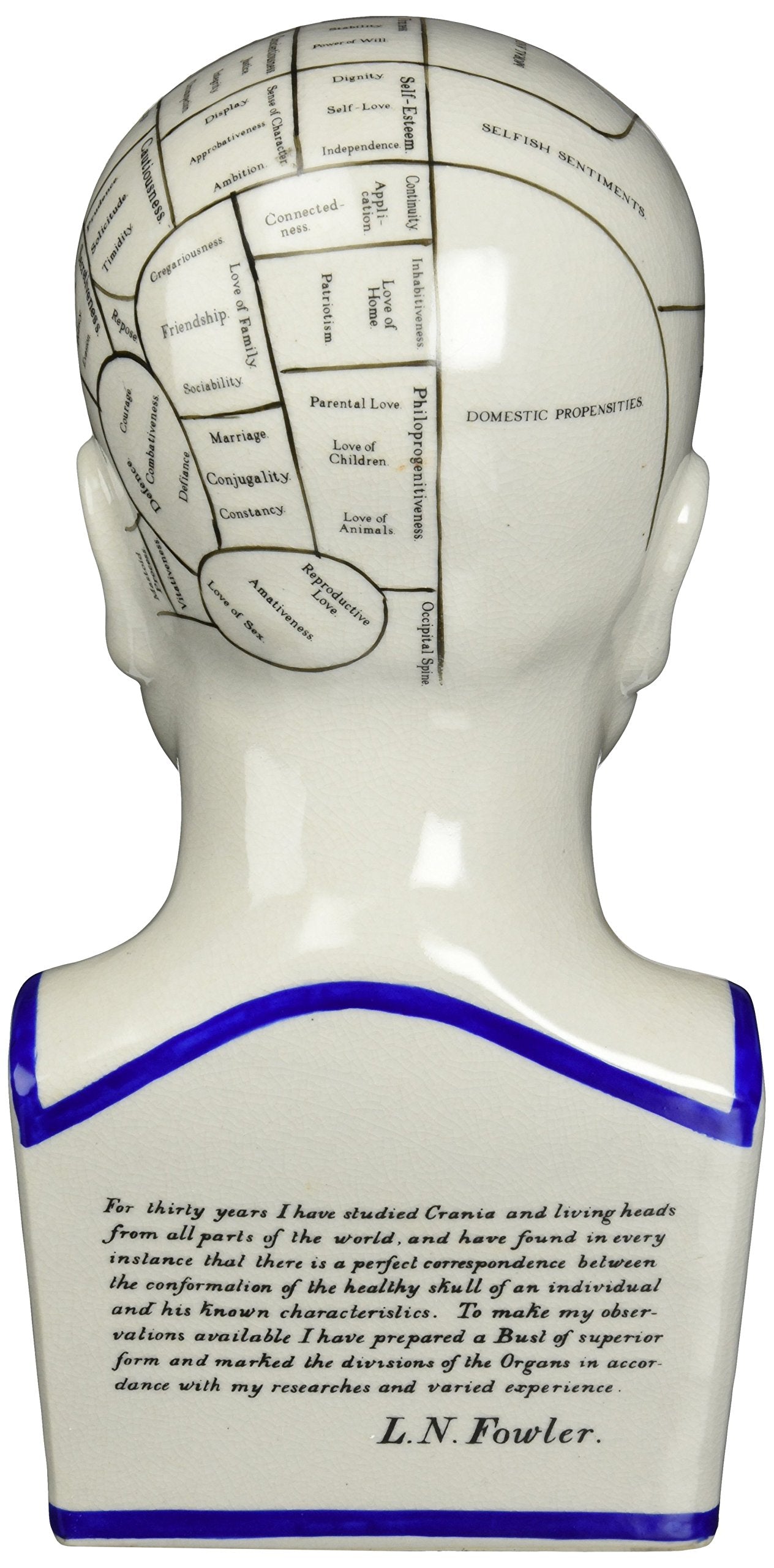 Design Toscano Porcelain Phrenology Head Fortune Telling Statue 30.5cm in White