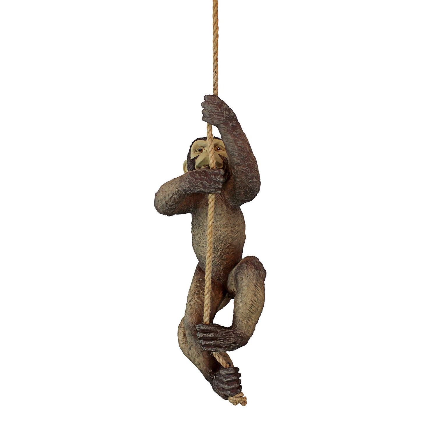 Design Toscano Makokou Climbing Monkey Sculpture - Exotic Resin Statue