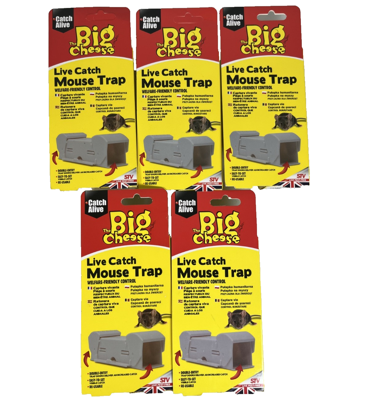 Live Catch Mouse Traps x5, Humane Welfare Friendly Reusable Traps by Big Cheese