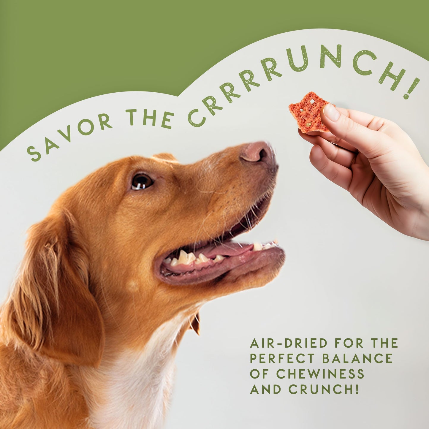 Elkwood Dental Sponge Chews for Dogs 100g | Natural Grain Free