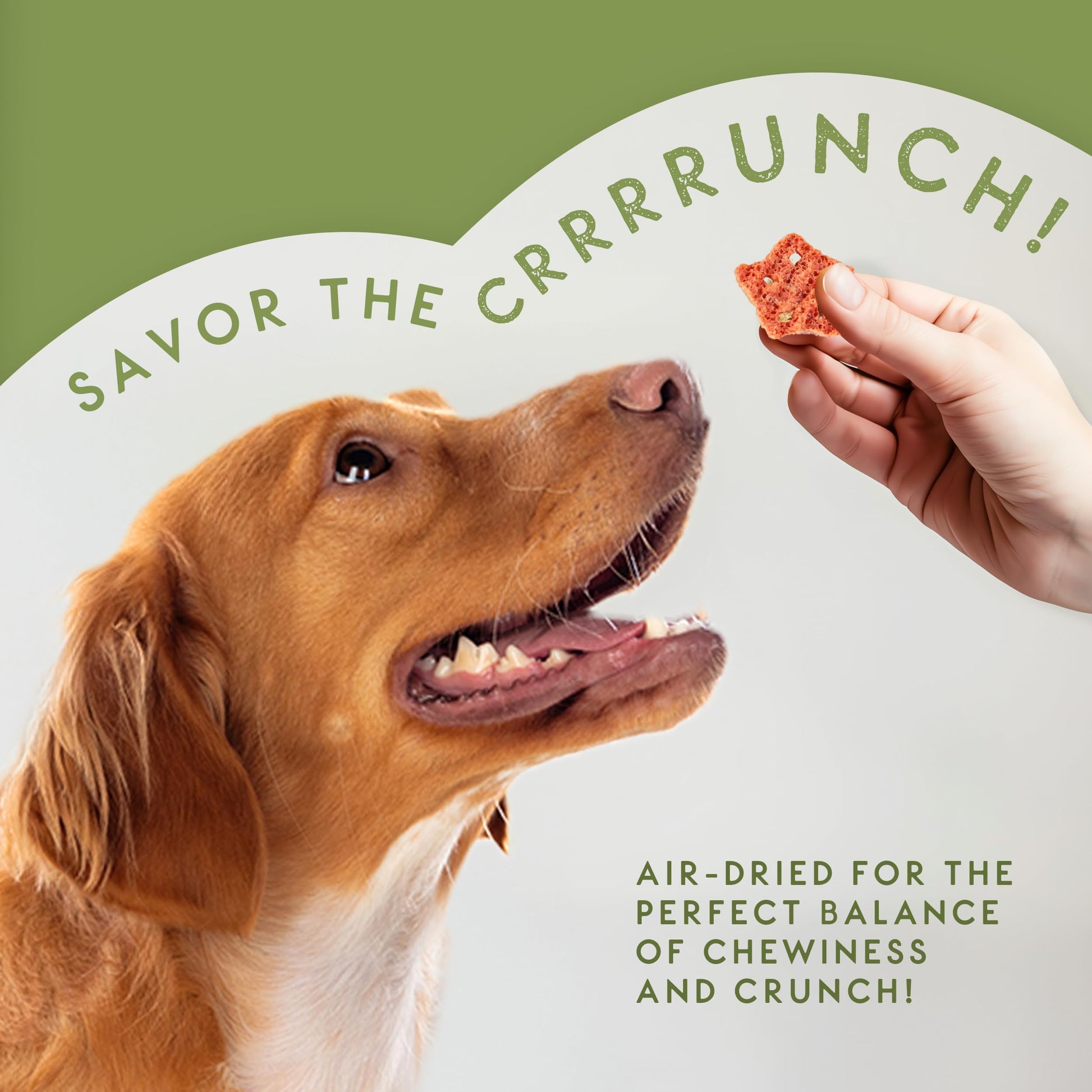 Elkwood Dental Sponge Chews for Dogs 100g | Natural Grain Free