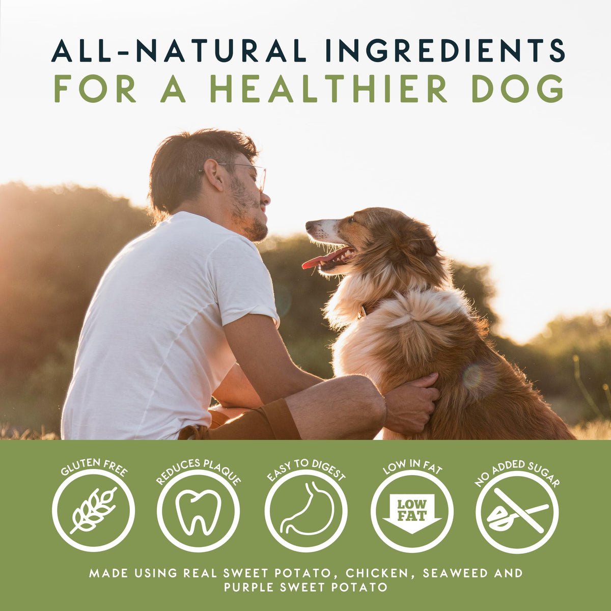 Elkwood Dental Sponge Chews for Dogs 100g | Natural Grain Free