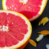 KitchenCraft Professional Stainless Steel Grapefruit Knife 22.5cm