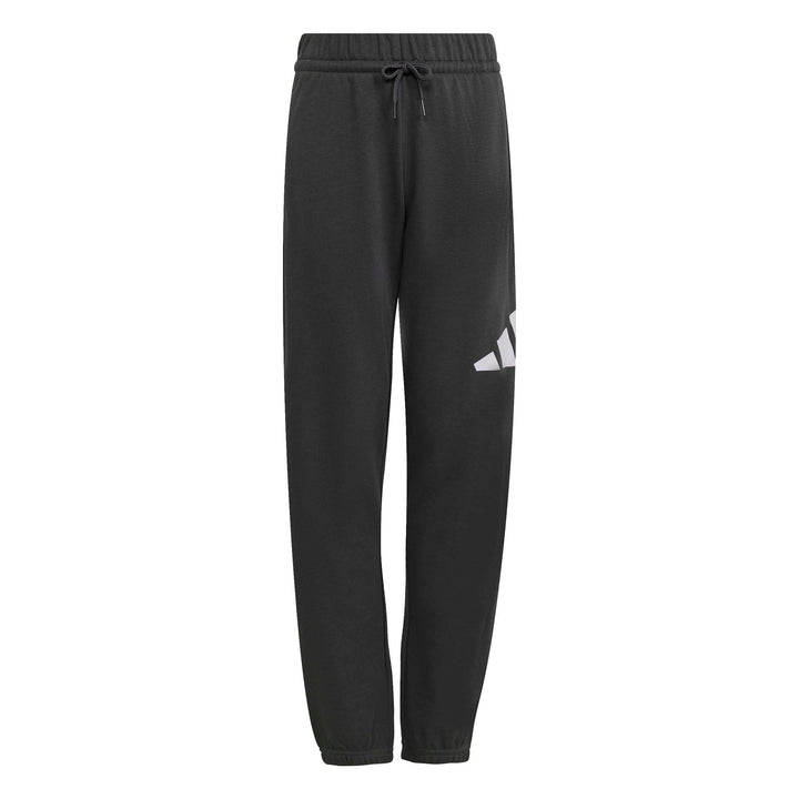 adidas Unisex Kids Essentials Big Logo Grey Sweatpants, 13-14 Years