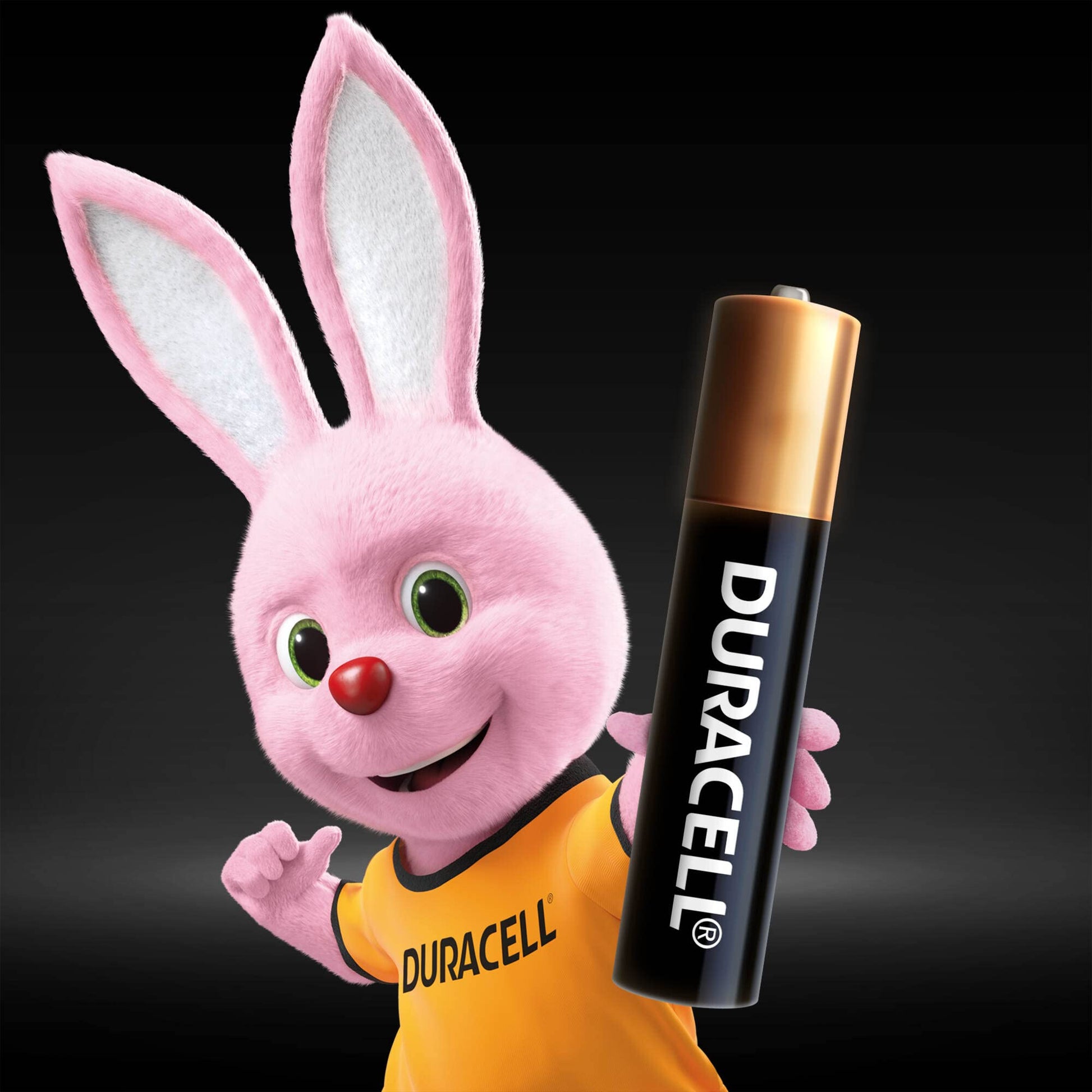 Duracell Specialty Alkaline AAAA Battery 1.5V Pack of 2