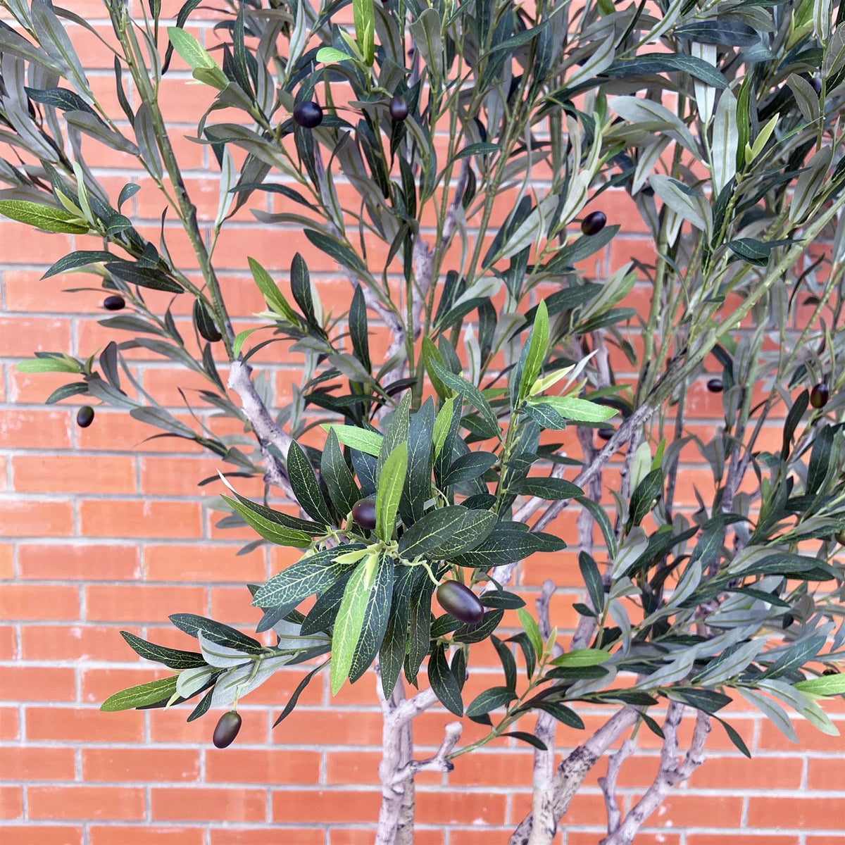 Leaf Design UK Artificial XL Olive Tree 250cm Realistic Faux Plant in White Planter