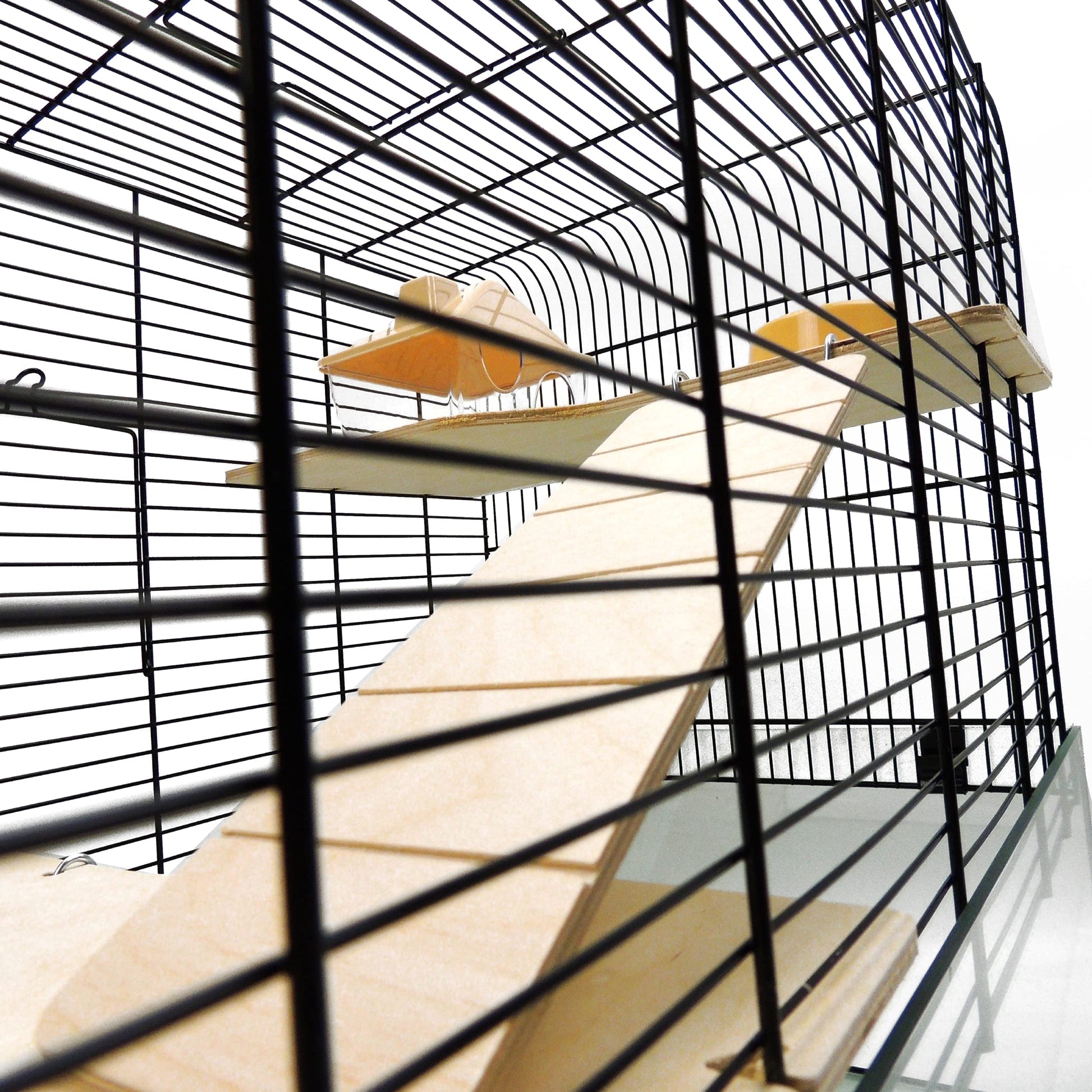 Little Friends Savoy Gerbilarium 58.5 x 38 x 47.5 cm Glass Cage