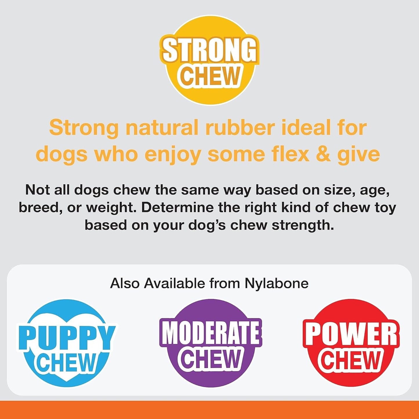 Nylabone Dog Chew Toy - Dental & Treat Dispensing Fun