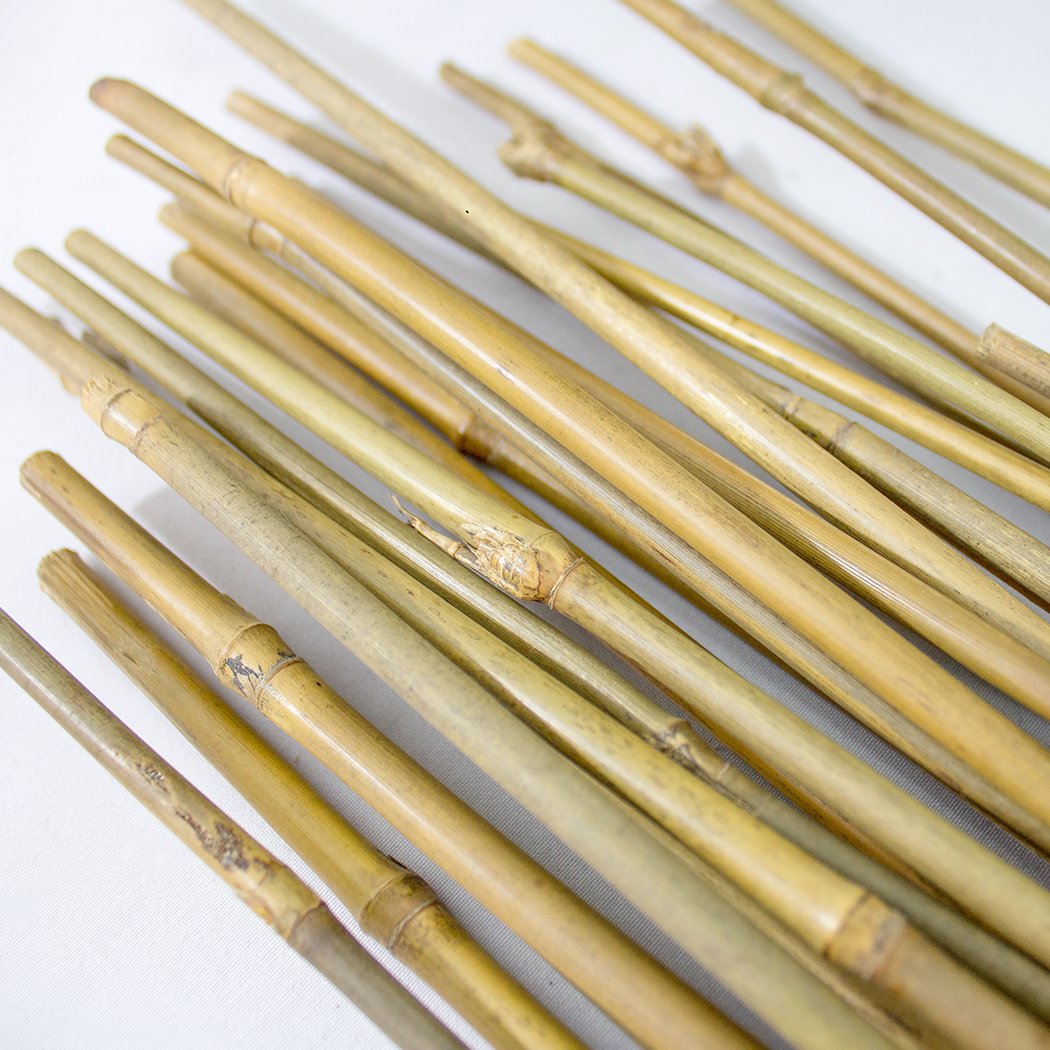 PLANT !T 3FT Bamboo Stakes Pack of 25 - Garden Plant Support Canes Indoors/Outdoors