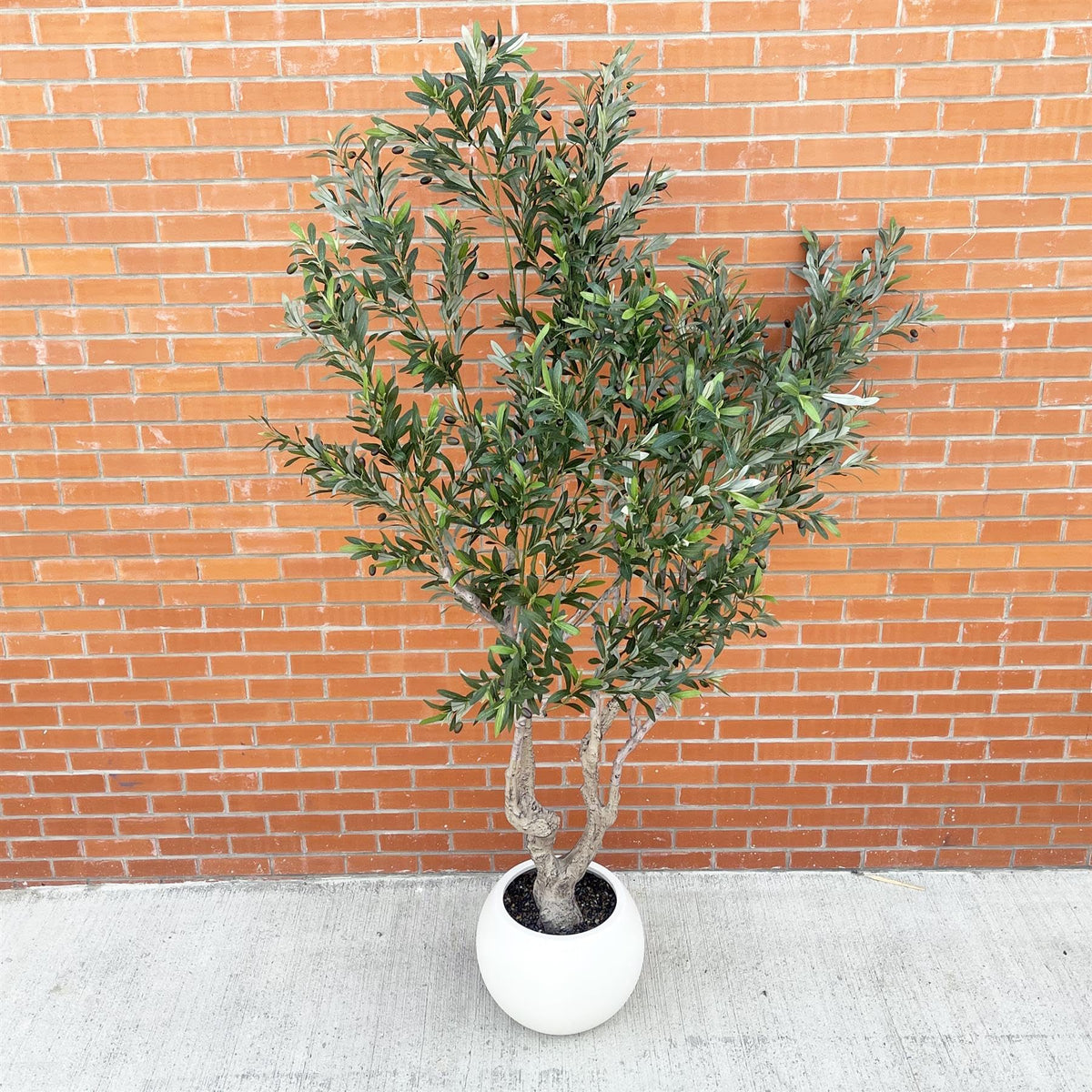 Leaf Design UK Artificial XL Olive Tree 250cm Realistic Faux Plant in White Planter