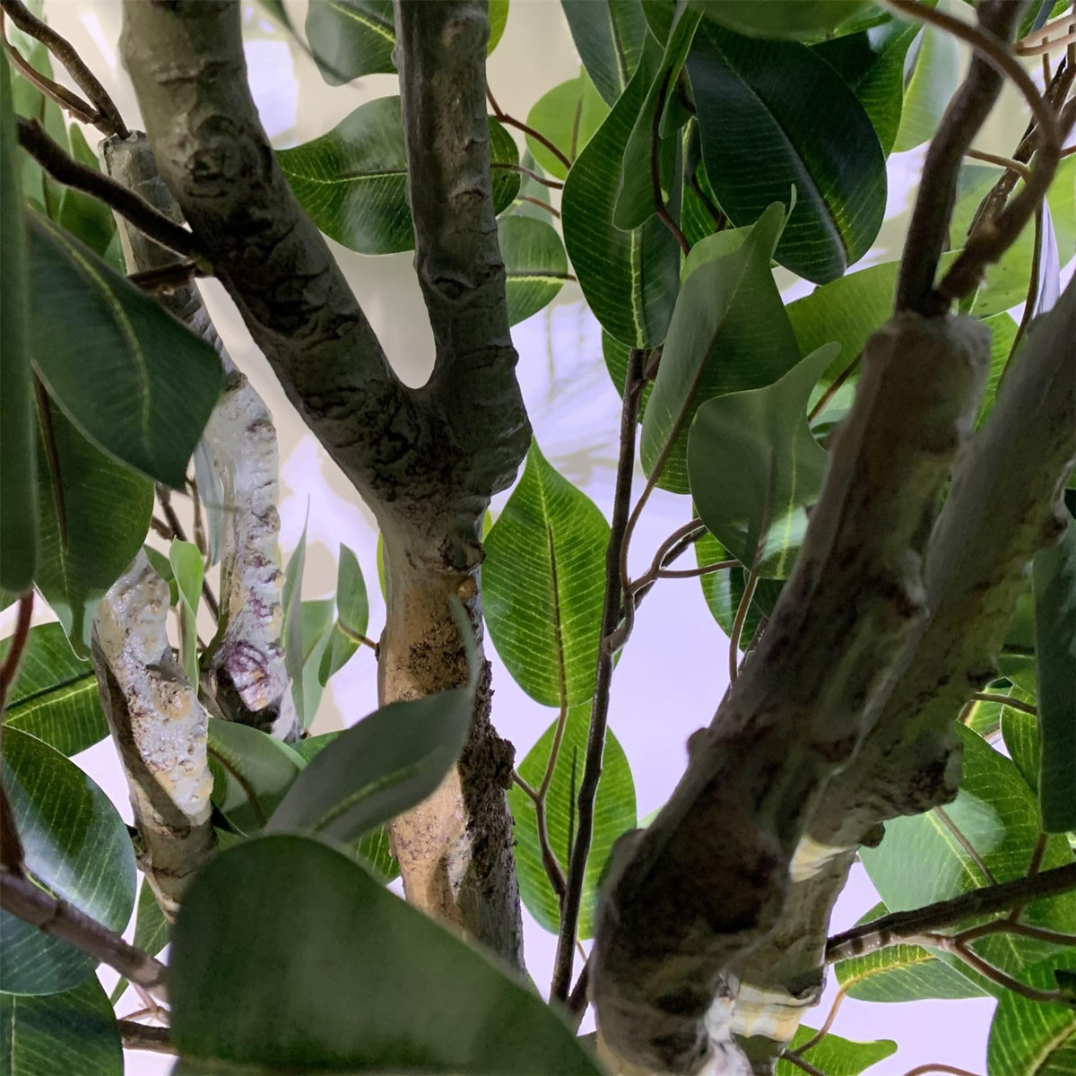 Leaf 100cm Realistic Artificial Ficus Tree with Metal Planter