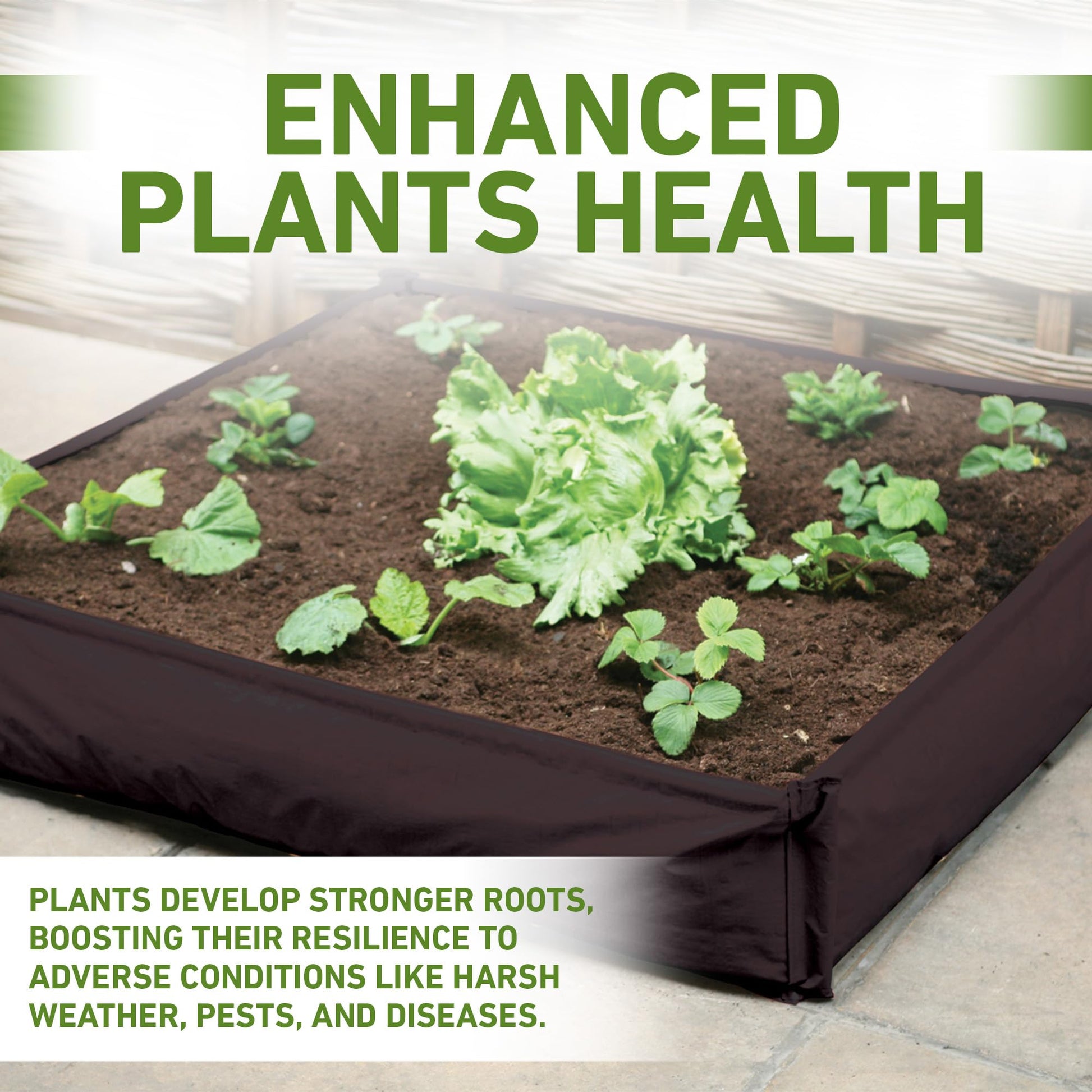 Haxnicks Large Instant Raised Bed Grow Bag Planter for Vegetables & Tomatoes