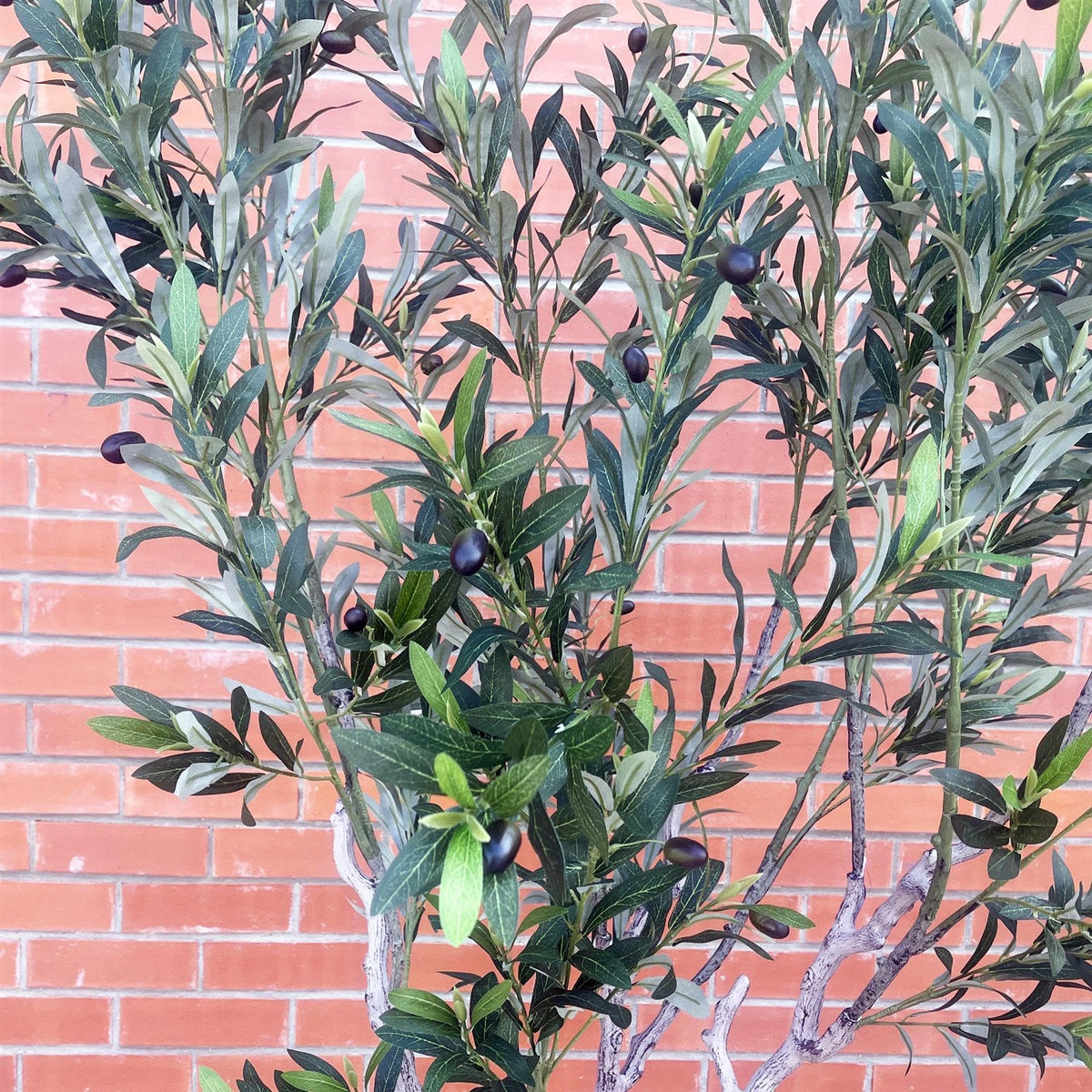 XL Artificial Olive Tree 200cm with Decorative Planter, Realistic Foliage Planter with White Pot