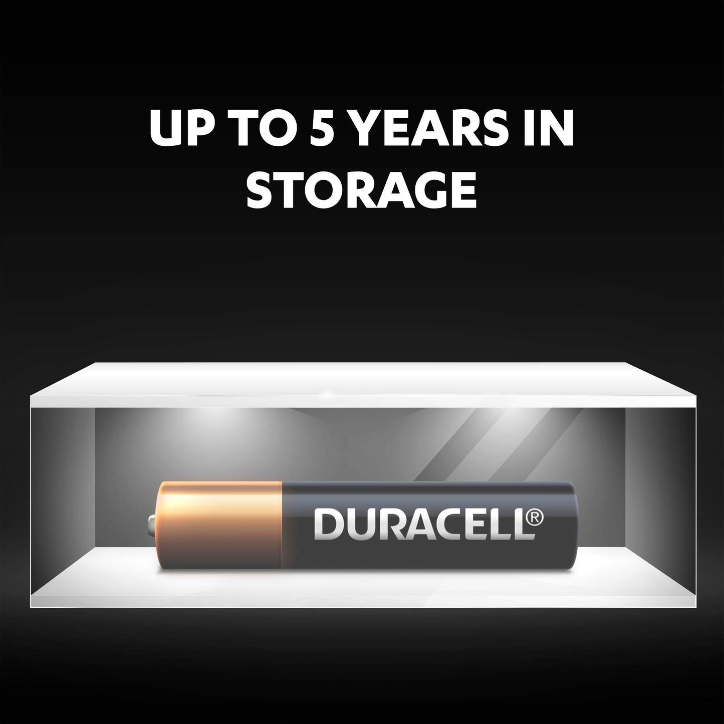 Duracell Specialty Alkaline AAAA Battery 1.5V Pack of 2