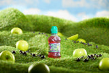 Robinsons Fruit Shoot Apple & Blackcurrant 200ml - 24 Pack