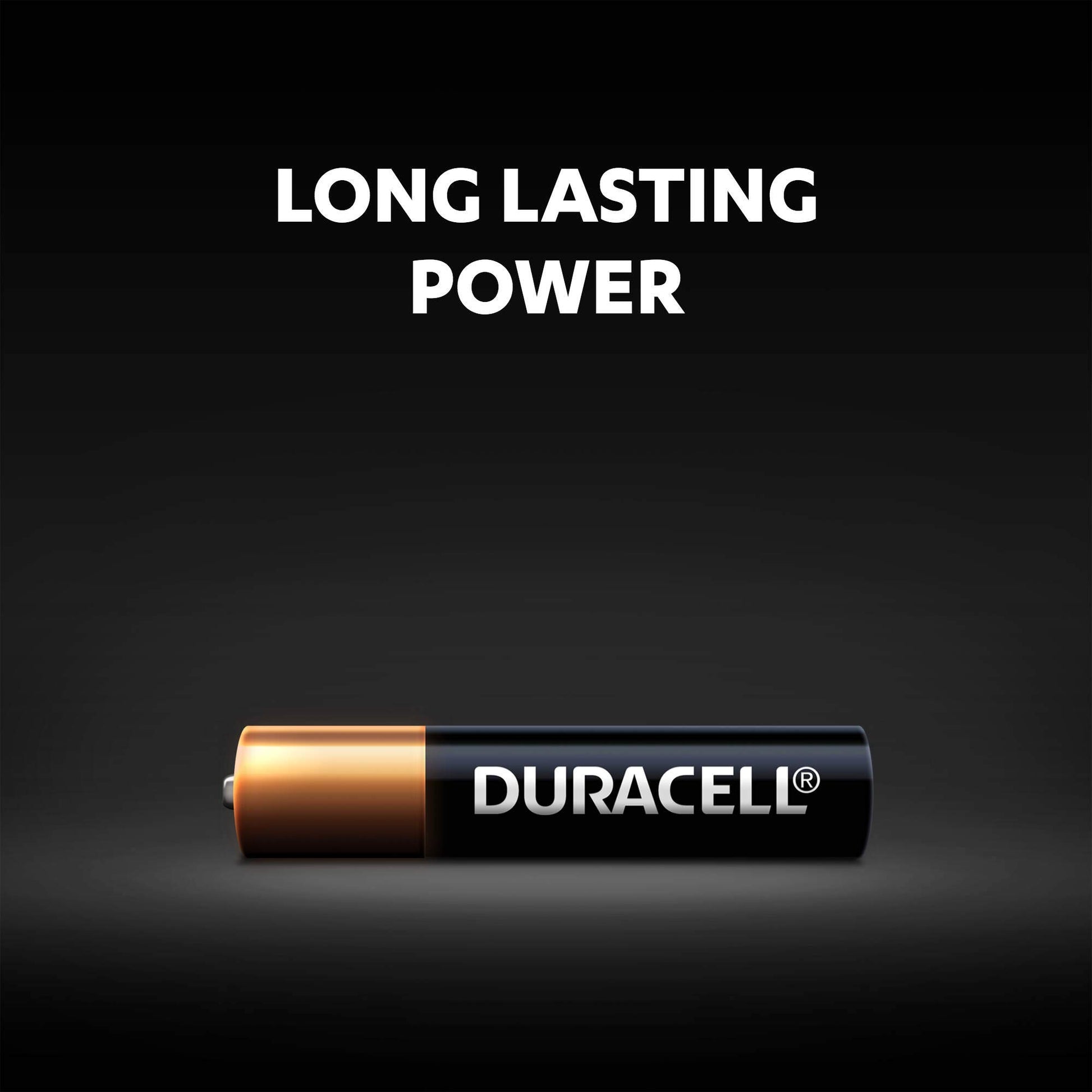 Duracell Specialty Alkaline AAAA Battery 1.5V Pack of 2