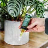 Westland Houseplant Droplet Feeder 40ml - Ready to Use