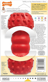 Nylabone Dog Chew Toy - Dental & Treat Dispensing Fun
