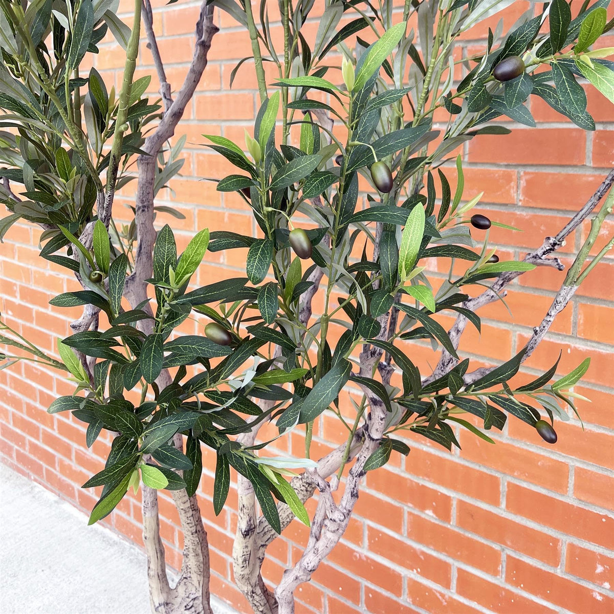 Leaf Design UK Artificial XL Olive Tree 250cm Realistic Faux Plant in White Planter